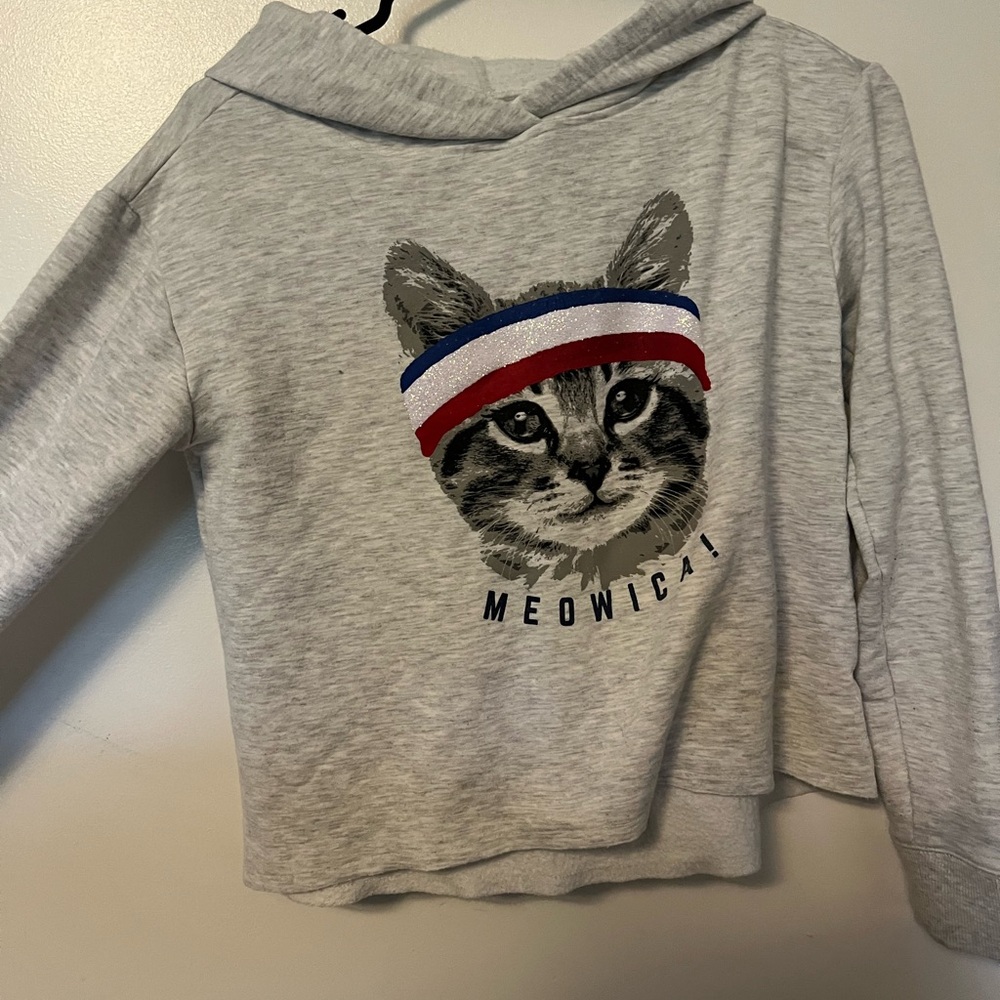 Cropped Gray Cat Hoodie with Meowica Design